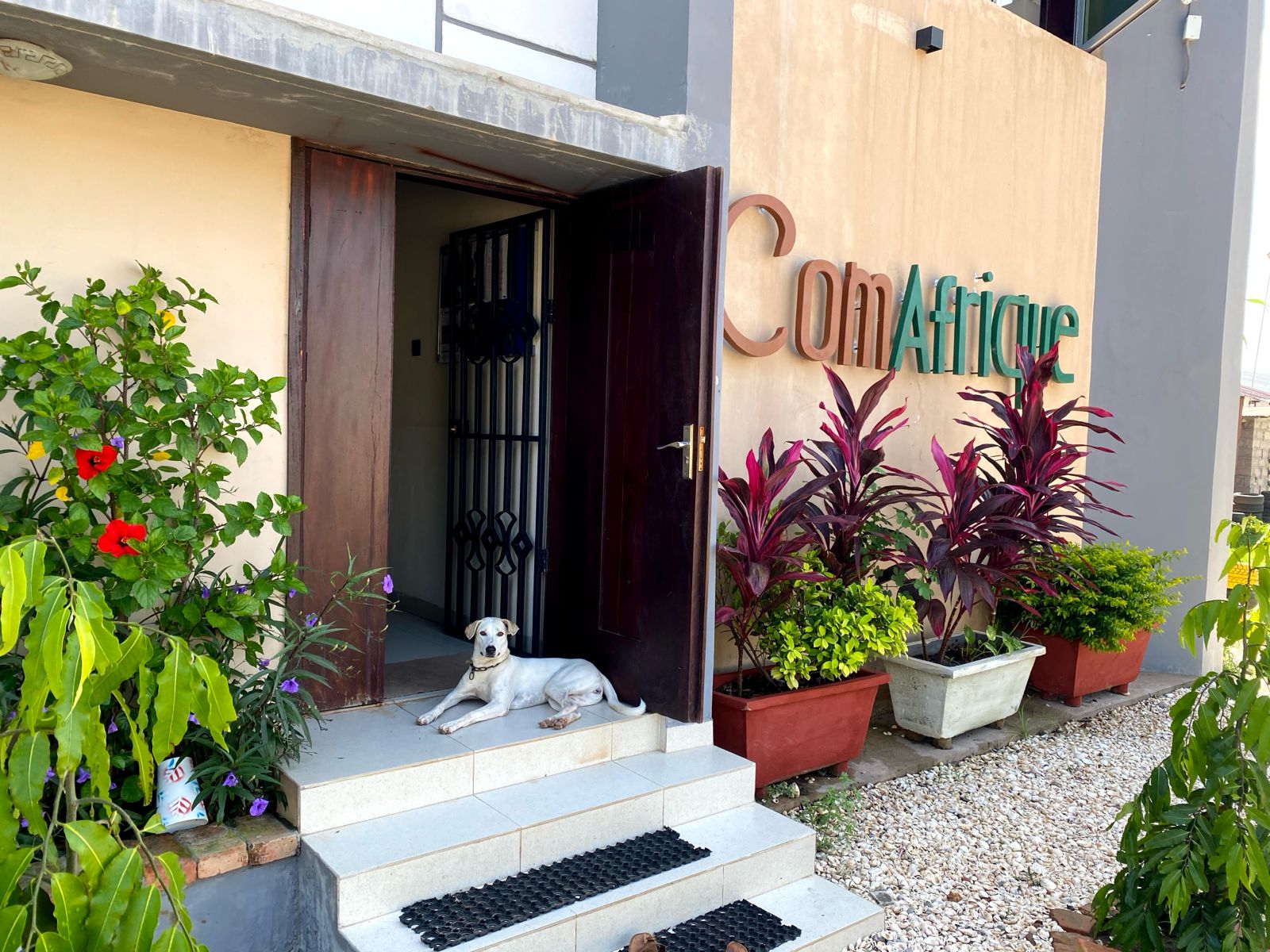 ComAfrique modern office interior